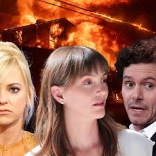 Anna Faris, Adam Brody & Leighton Meester Lose Homes in Pacific Palisades  Wildfire