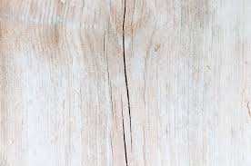 Light Wood Texture Macro Photo Free Photos Free Textures High Quality Instant Download Free Photos Light Wood Texture Free Textures Macro Photos