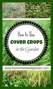 Pin On Best Gardening Tips Website