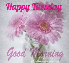 Do not forget to click the red button to subscribe, to watch more. Happy Tuesday Good Morning Flower Gif Good Morning Tuesday Tuesday Quotes Good Morning Quotes Ha Good Morning Quotes Good Morning Images Good Morning Animation