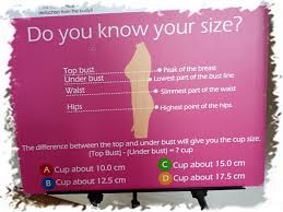 Bra Cup Size Comparison To Fruit Boob Shape Chart Bra Fruit