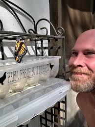 Are these monarch chrysalis normal?