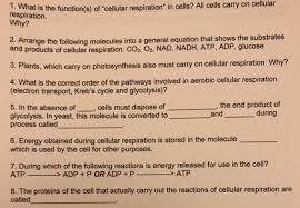 Check spelling or type a new query. 1 What Is Respiration The Function S Of Cellular Chegg Com