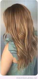 28 Albums Of Light Golden Brown Hair Color Chart Explore