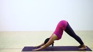 Down Dog Up Dog Rise Shine And Go Movement Practice 24life Youtube