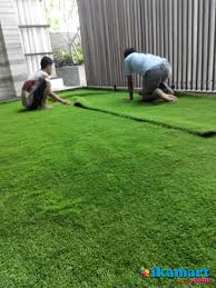 Rumput gajah paitan mempunyai karakter daun yang panjang, pertumbuhan cepat sehingga harus dilakukan pemangkasan setiap bulannya, dan harga pun lebih murah dibanding dengan rumput gajah mini.rumput gajah paitan cocok ditanam pada pabrik, tata taman kota / pinggir jalan. Jual Beli Online Dan Iklan Gratis Mobil Bekas Dan Mobil Baru