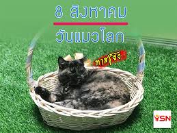 We did not find results for: 8 à¸ª à¸‡à¸«à¸²à¸„à¸¡ à¸§ à¸™à¹à¸¡à¸§à¹‚à¸¥à¸