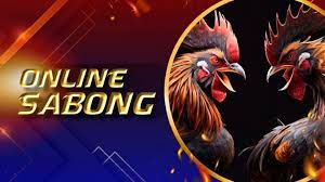 Rise of Sabong International