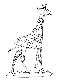 Apprendre à dessiner une girafe. Page 4 Sur 29 Sur Hugolescargot Com Coloriage Girafe Coloriage Animaux Coloriage
