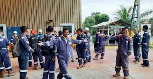 / wks dilakukan oleh tim penilai lapangan lembaga sertifikasi pt. Terkait Phk 900 Karyawan Pt Wks Ini Tanggapan Cpi Riau Lantang