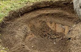 Check spelling or type a new query. How To Build A Wildlife Friendly Pond In Your Garden Flowerpotman Landscape Gardener