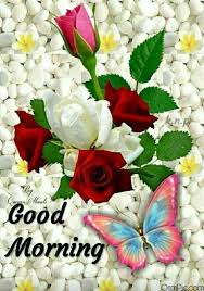 We did not find results for: Flower Good Morning Image In 2021 Good Morning Flowers Good Morning Images Morning Flowers