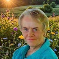 Frances Clare Vohlken Obituary (2024)