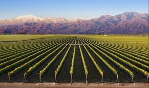 Mendoza is the center of the argentinian wine industry, for which it is world renowned. Argentina S Mendoza Region Leaps Into The Film Tv Business Variety