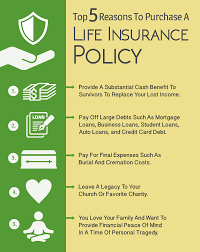Whole life insurance is for those looking for lifetime protection with added benefits. 100 000 Whole Life Insurance For Seniors Rates Programs Revealed