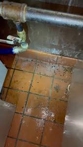 If crawling pests come back during the contract period, we'll come back at no additional charge. Des Moines Pest Eliminators Pest Control Service Facebook 8 Photos