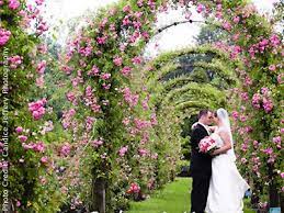 Pond House Cafe West Hartford Weddings Connecticut Garden Wedding Venues 06117 Connecticut Wedding Venues Connecticut Wedding Wedding Venues