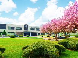 Procter & gamble's purchases discipline is part of the product supply function and has significant responsibility for developing…procter & gamble's purchases discipline is part. Xiqing Plant Tech China