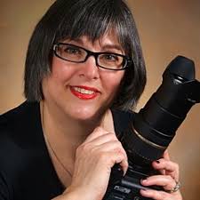 Bowman's Hill Tower by DJ Florek