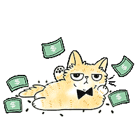 Maybe you would like to learn more about one of these? Cat Money Sticker By Dope Chief For Ios Android Giphy