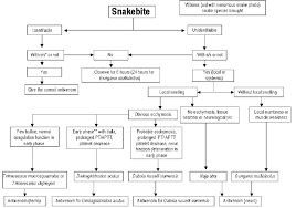 flow chart of snakebite management in children from the