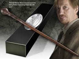 Rowling.he first appears in harry potter and the prisoner of azkaban as the new defence against the dark arts professor. Harry Potter Zauberstab Professor Remus Lupin Charakter Edition