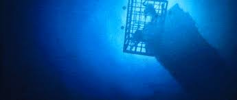 47 meters down grossed $44.3 million in the united states and canada and $17.4 million in other territories for a worldwide total of $61.7 million, against a production budget of $5.5 million. Horror Movie Review 47 Meters Down 2017 Games Brrraaains A Head Banging Life