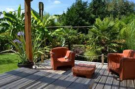 plantes exotiques palmier bananier agapanthe bananier plante terrasse agapanthe