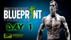 arnold s blueprint cut day 1 chest and