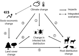 Lyme Disease Risks In Europe Under Multiple Uncertain