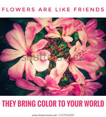 Flowers Like Friendsthey Bring Colors Your Stock Illustration 1117516319