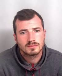 The faces and stories of 183 Essex criminals jailed in 2018 so far