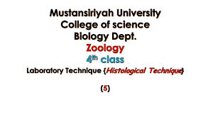 Download free data driven, tables, graphs, corporate business model templates and more. Laboratory Technique Histological Technique Ppt Download