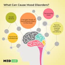 Image result for Mood Disorder