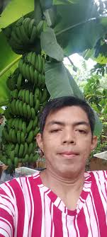 Types of vegetables commonly found in my country