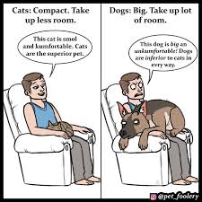 1) training dogs is easier: 4 Hilarious Comics Explaining Why Cats Are Better Than Dogs Bored Panda