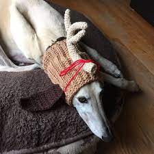Grinch Antler Made To Order Snood Hat For Dogs Crochet Crochet Dog Crochet Patterns Dog Sweaters