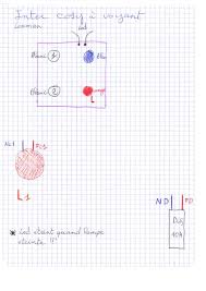 Resolu Branchement D Un Inter A Voyant Lexman Cosy Communaute Leroy Merlin