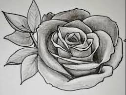 Pin By Cristovao Nayane On Grey Easy Drawings Roses Drawing Flower Drawing