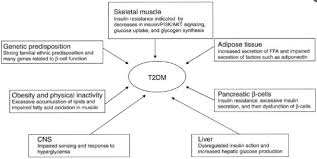 Type 2 diabetes is the most common type of diabetes, accounting for around 90% of all diabetes cases. Pathogenesis Of Type 2 Diabetes Mellitus T2dm This Include A Defect Download Scientific Diagram