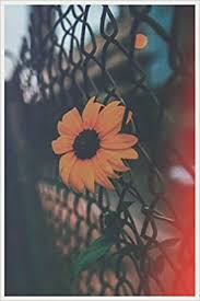 Book, yellow, and aesthetic image. Aesthetic Notebook Yellow Aesthetic Sunflower Rose Kawaii Japanese Inspirational Happy Journal Pale Aesthetic Journal Rose Notebook Flower Aesthetic 9798653377235 Books Amazon Com