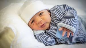 Babygalerie für Erfurt und Umgebung 2025