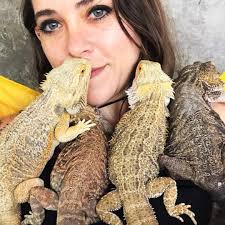 tips for caring for a bearded dragon?