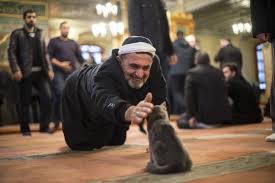 Kucukken Bir Kedinin Cop Tenekesinden Uzerine Atlamasi Sonucu Kedilerden Korkar Hale Gelen Acar 1 5 Yil Once Namaz Kilmak Icin Geldigi Azi Kedi Resimler Iman