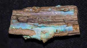 Petrified Wood With Precious Opal Bonanza Mine Virgin Valley Nevada 3 5 Cm Wide Rocks And Minerals Rocks And Gems Australian Opal Jewelry