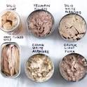 Image of types of canned fish