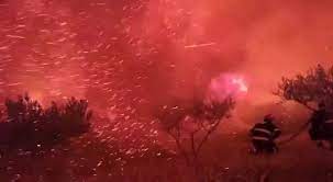 Igor tudor (spalato, 16 aprile 1978) è un allenatore di calcio ed ex calciatore croato, di ruolo difensore o centrocampista. Vpqhiafdpz Ovm