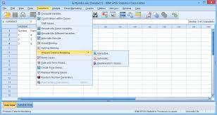 Ibm Spss Statistics 27 0 1 Crack Registration Code Free Download 2022