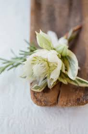 And wedding flowers don't have to be real to make a big impact. 15 Native Wedding Flowers A Bride S Guide Tesselaar Flowers