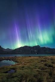 Последние твиты от jared genser (@jaredgenser). 25 Ideer Om Kafjord Gardasjoen Engelske Hager Norge